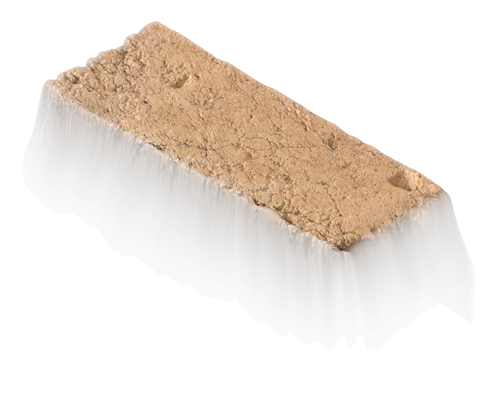 Holy Rock NFT #1089