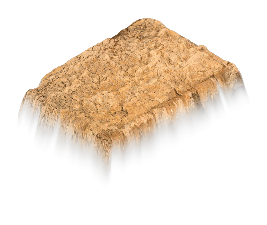 Holy Rock NFT #1273