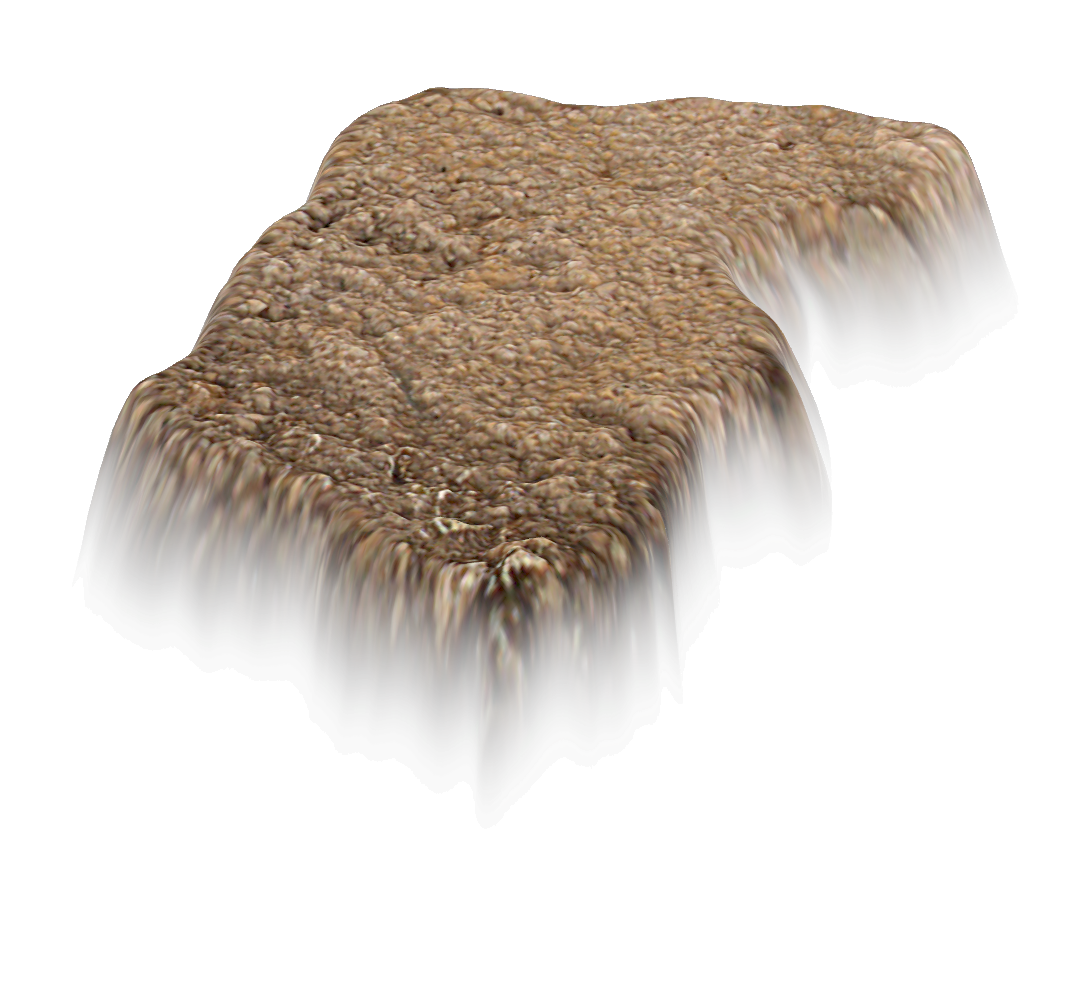 Holy Rock NFT #1337