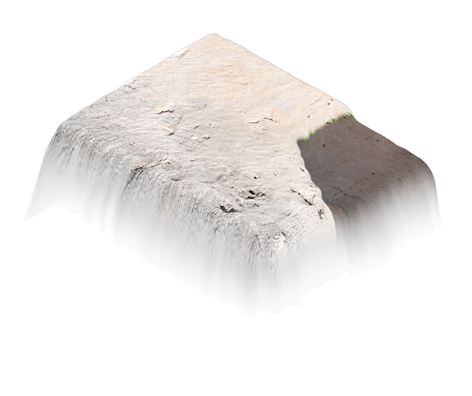 Holy Rock NFT #1442