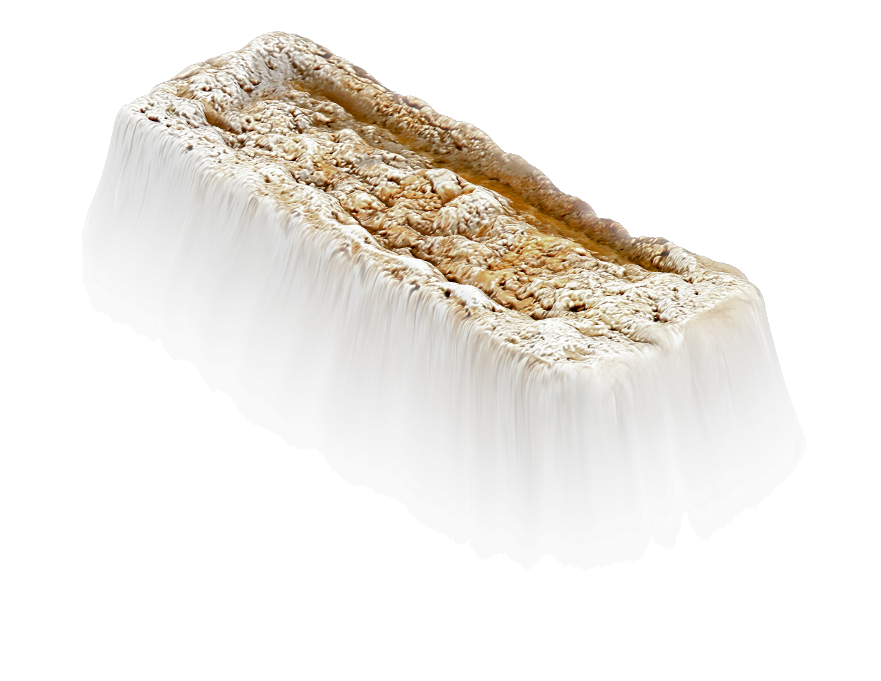 Holy Rock NFT #185