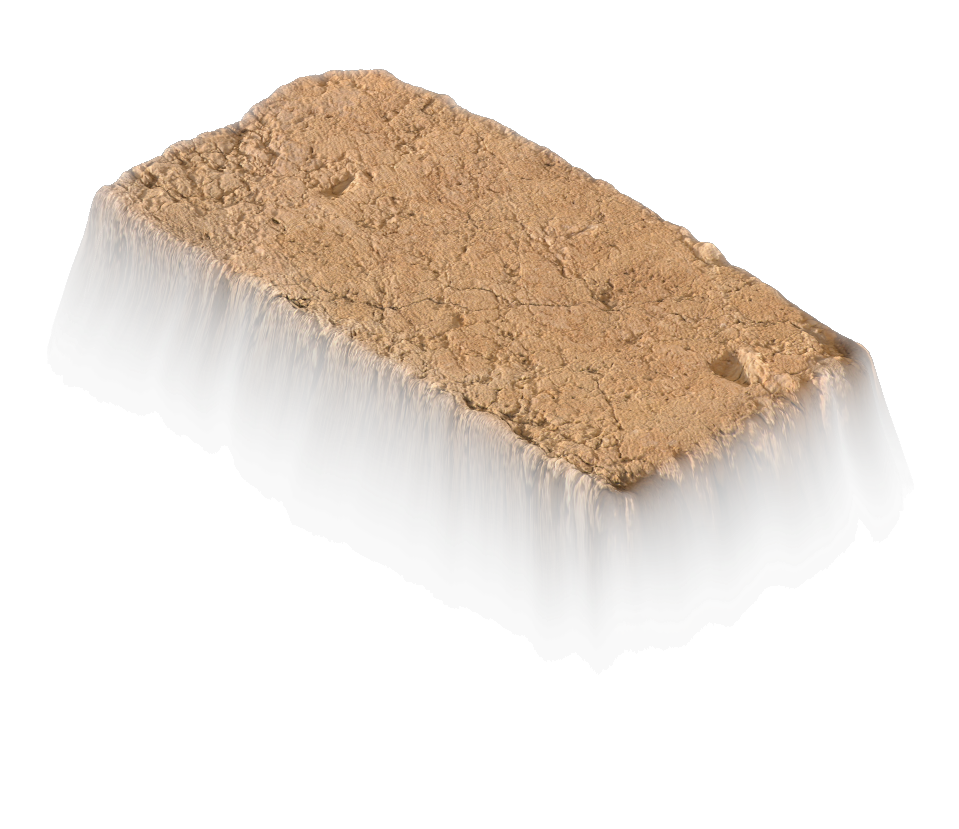 Holy Rock NFT #798